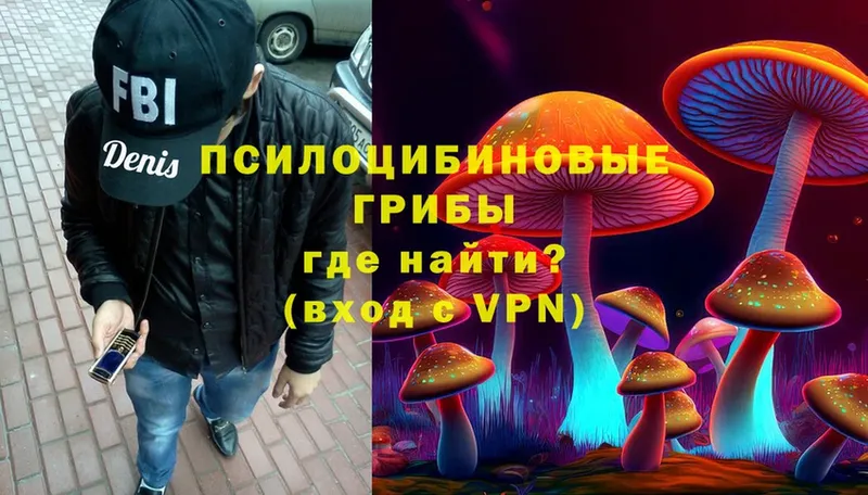 Псилоцибиновые грибы Psilocybe  как найти закладки  Москва 